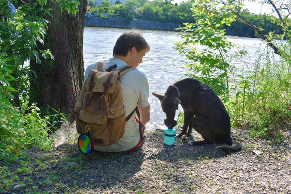 The Ultimate Guide to Keeping Your Dog Hydrated on Outdoor Adventures