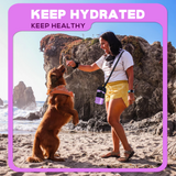 28oz Portable Dog Water Bottle Dispenser-3Gen