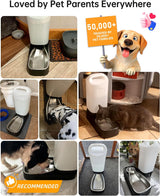 2.4 Gallon Gravity Pet Water Dispenser with 304 Stainless Steel Bowl