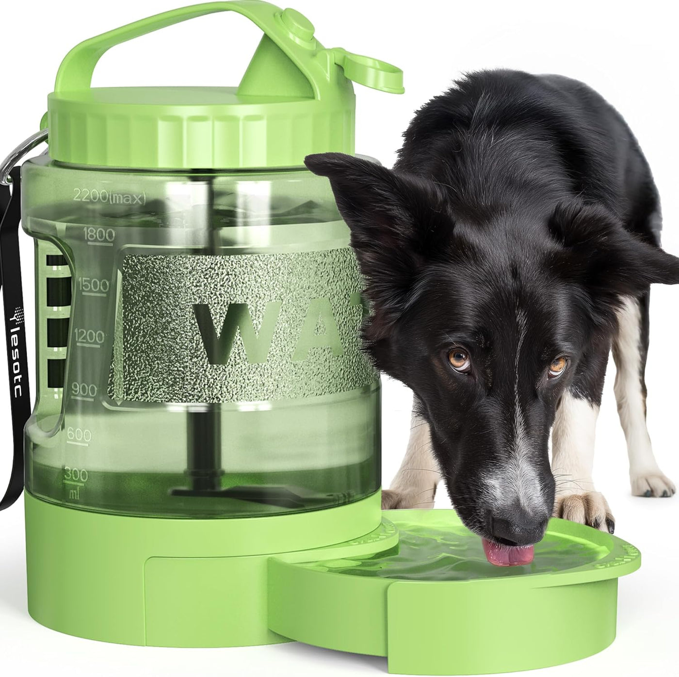 Large Dog Travel Water Bowl Dispenser – LESOTC