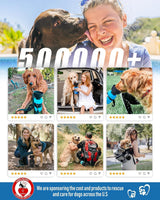 34oz Portable Dog  Water Bottle Dispenser-3.5Gen