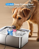 3 Gallon Extra Large Stainless Steel Dog Water Fountain