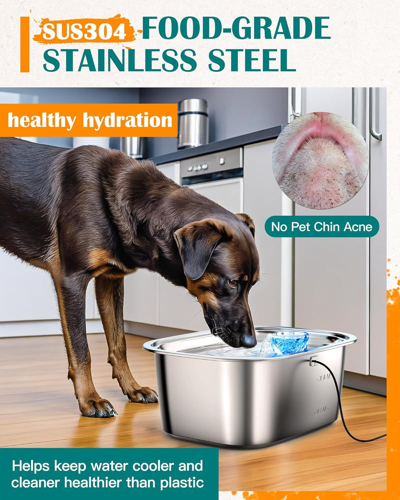 3Gallon Stainless Steel Dog Water Fountain for Large Dogs