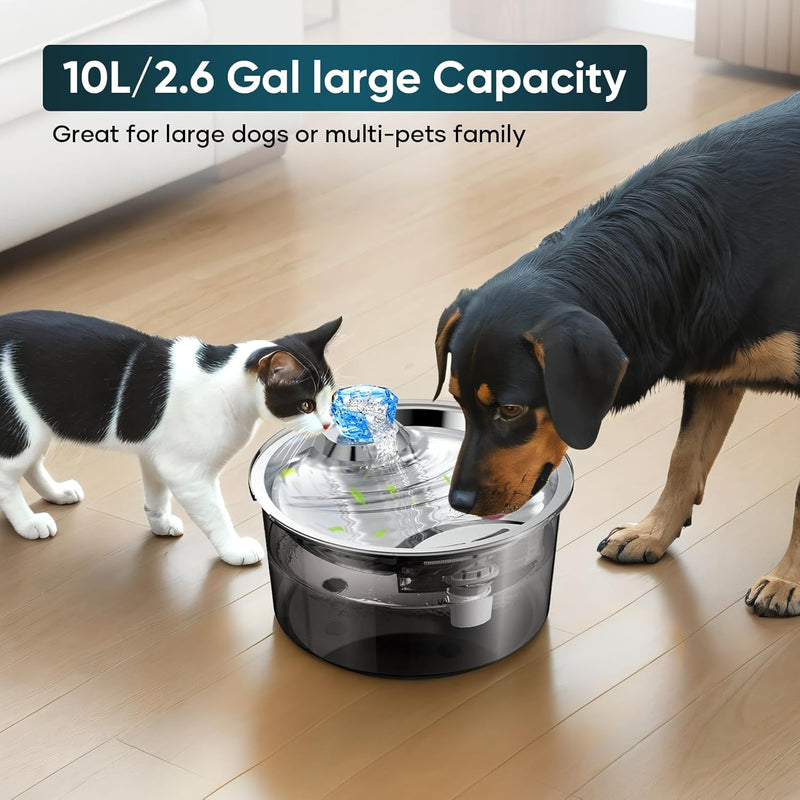 2.6Gal/10L Dog Water Fountain for Dogs & Cats & Multiple Pets