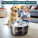 2.6Gal/10L Dog Water Fountain for Dogs & Cats & Multiple Pets