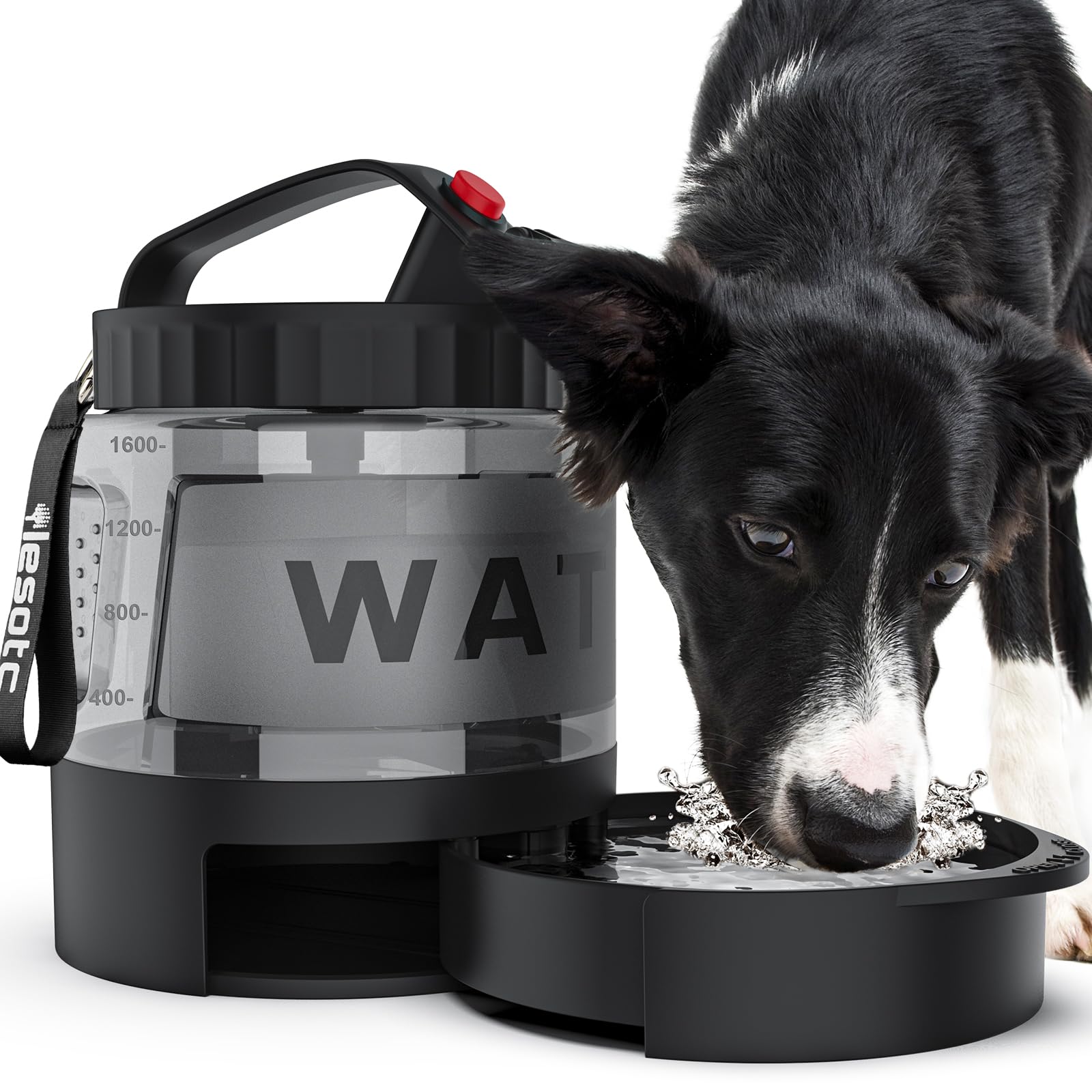 Large Dog Travel Water Bowl Dispenser – LESOTC