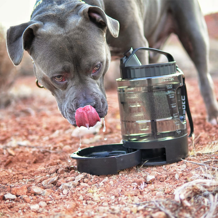 Lesotc Dog Water Bottle with Bowl