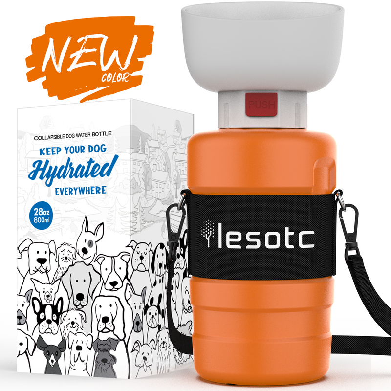 Collapsible dog water bottle deals